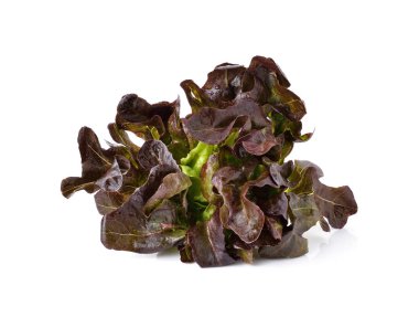 beyaz zemin üzerine kırmızı meşe yaprak marul