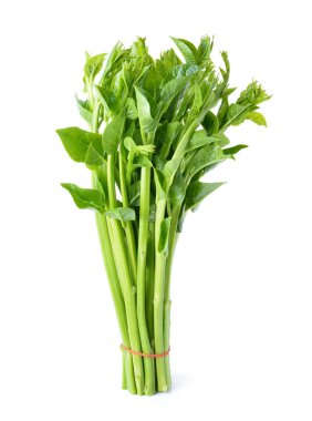 Malabar ıspanak veya Ceylon ıspanak üzerinde beyaz izole