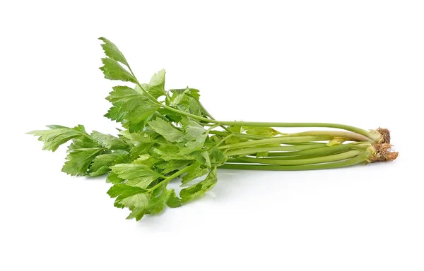 Fresh Green Celery Isolated White — Stock Photo, Image