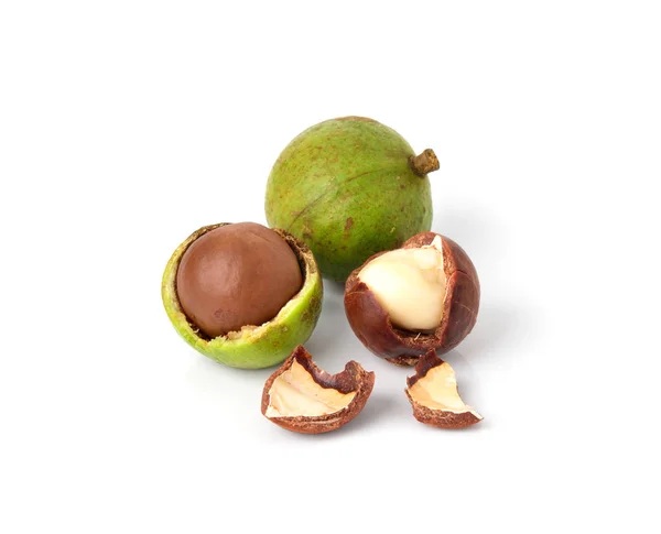 Nueces Macadamia Sobre Fondo Blanco —  Fotos de Stock