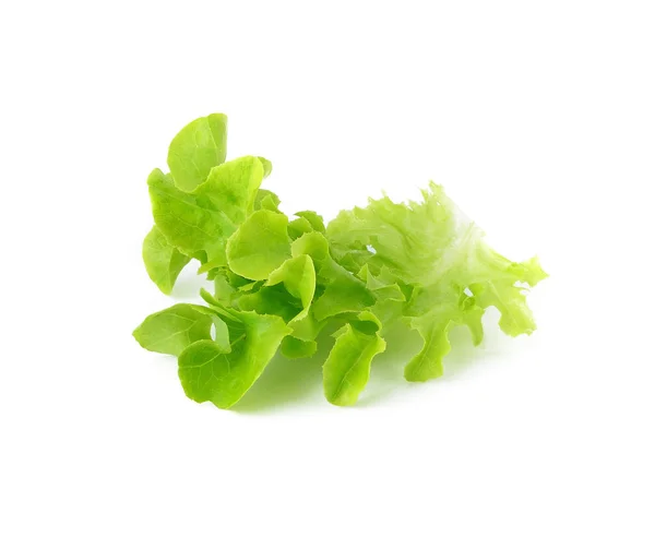 Fresh Green Lettuce Leaves Isolated White — Stock Photo, Image
