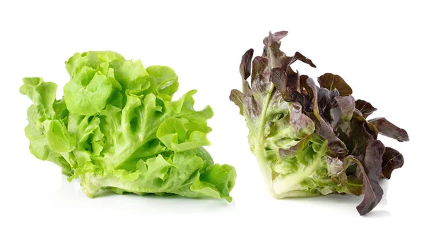 Grüner Und Roter Salat Isoliert Auf Weißem Hintergrund — Stockfoto