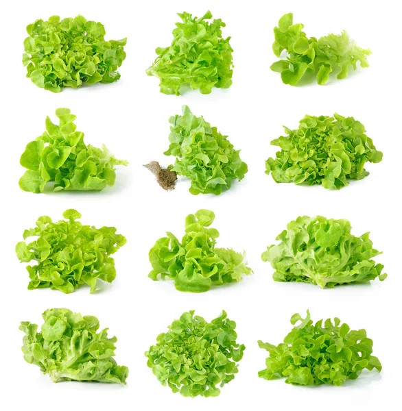 Grüne Blätter Salat Isoliert Auf Weißem Hintergrund — Stockfoto