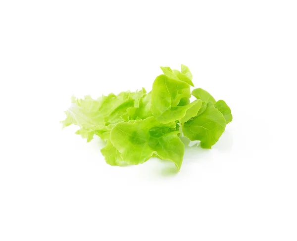 Fresh Green Lettuce Leaves Isolated White — Stock Photo, Image