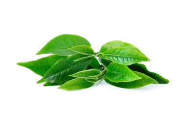 Beyaz arkaplanda yeşil çay yaprağı izole