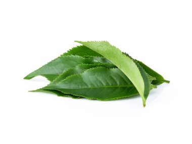 Beyaz arkaplanda yeşil çay yaprağı izole