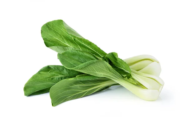 Bok Choy Kínai Kel Elszigetelt Fehér — Stock Fotó