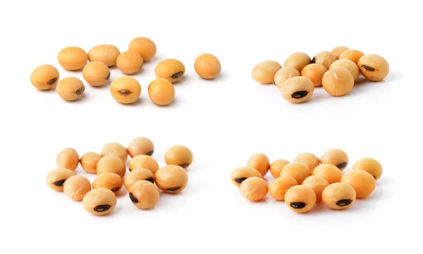 白い背景の上の大豆の豆 — ストック写真