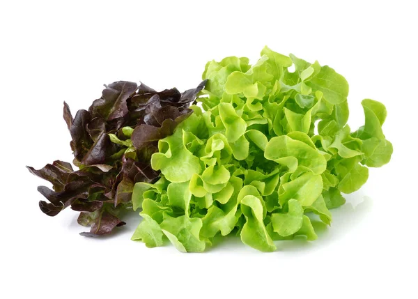 Grön Och Röd Sallad Isolerad Vit Bakgrund — Stockfoto