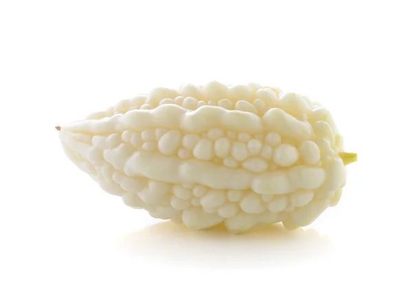 White Bitter Cucumber White Background — Stock Photo, Image