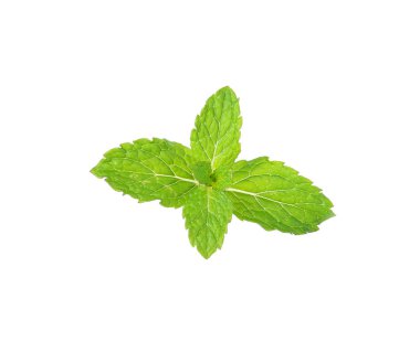 Beyaz arkaplanda izole edilmiş nane yaprağı