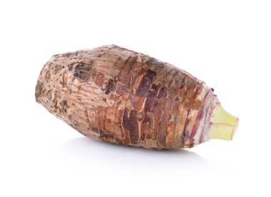 Taro kök beyaz zemin üzerine