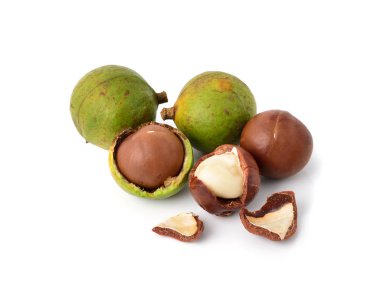 Beyaz arka planda Macadamia fındıkları