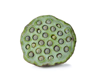 Lotus tohumu beyaz arkaplanı izole etti