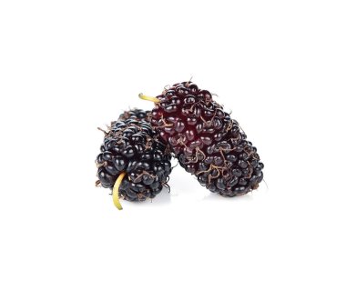 Dut beyaz arkaplanda izole edilmiş