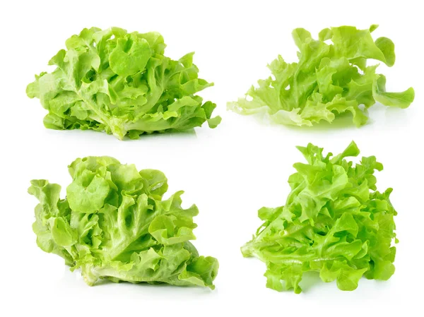 Green Leaves Lettuce Isolated White Background — Stock Photo, Image