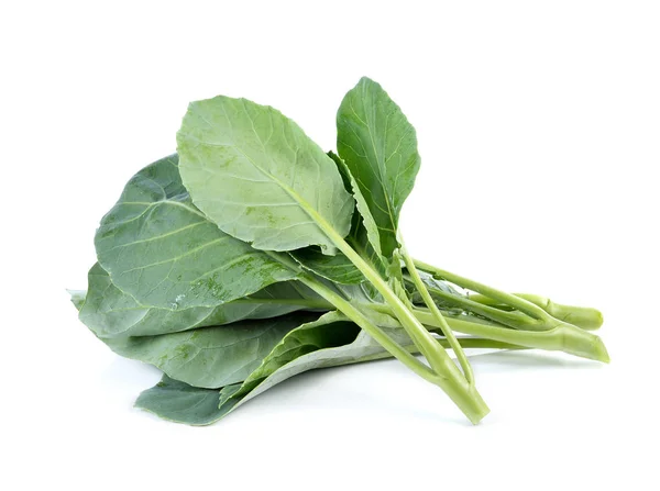 Brócoli Chino Sobre Fondo Blanco — Foto de Stock