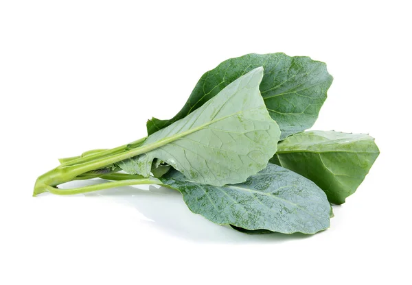 Chinese Broccoli White Background — Stock Photo, Image