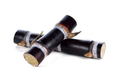 Beyaz arkaplanda izole şeker kamışı