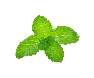 Beyaz arkaplanda izole edilmiş taze çiğ nane yaprakları