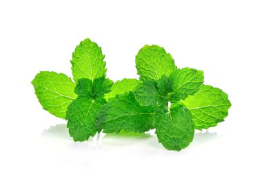 Beyaz arkaplanda izole edilmiş taze çiğ nane yaprakları
