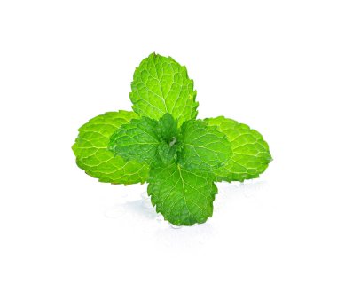 Beyaz arkaplanda izole edilmiş nane yaprakları