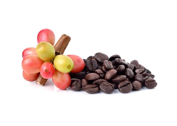 Kaffebönor Och Röda Mogna Kaffe Isolerad Vit Bakgrund — Stockfoto