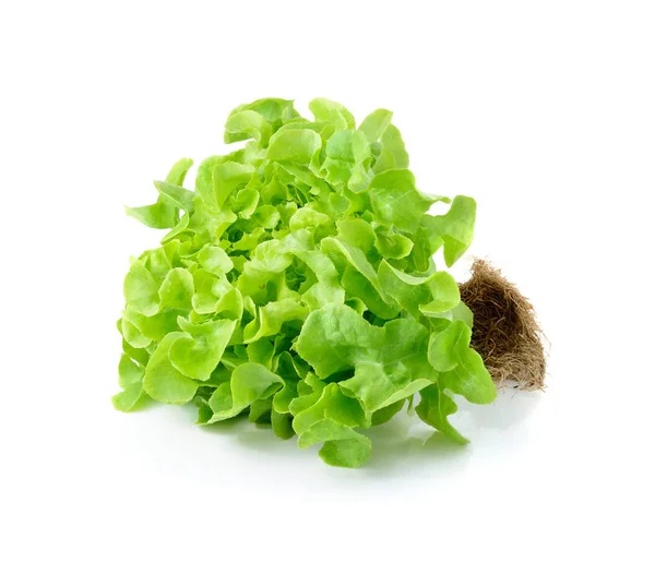 Grüne Blätter Salat Isoliert Auf Weißem Hintergrund — Stockfoto