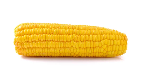 Corn Isolated White Background — Stock Photo, Image