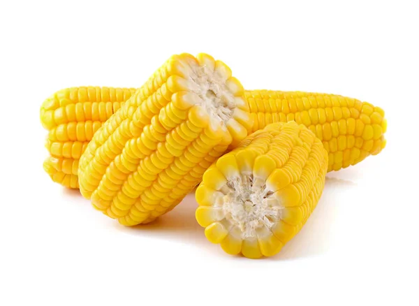 Corn White Background — Stock Photo, Image