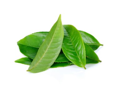 Beyaz arkaplanda yeşil çay yaprağı izole