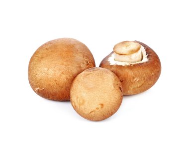 Taze şampiyon mantarları beyazda izole edilmiş.