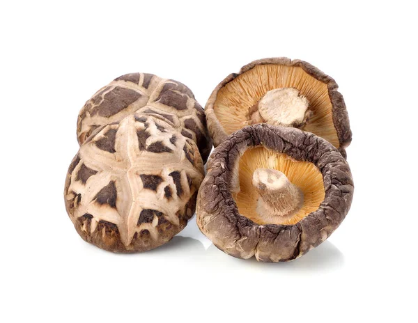 Suche Grzyb Shiitake Białym Tle — Zdjęcie stockowe