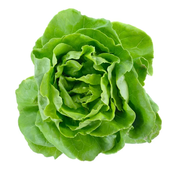 Friss Zöld Saláta Izolált Fehér — Stock Fotó