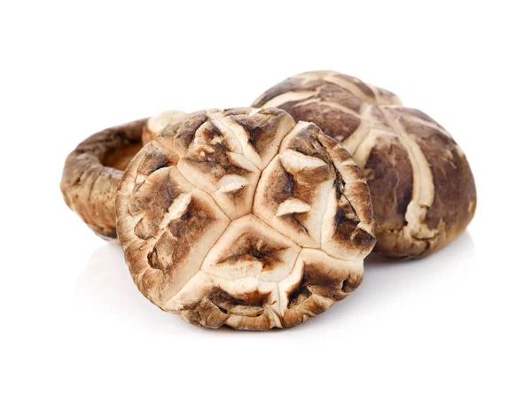 Dry Shiitake Mushroom Isolated White — Stock Photo, Image