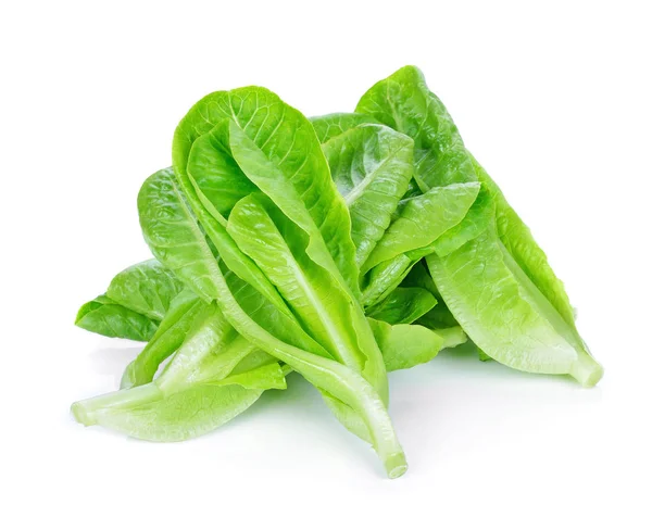 Lechuga Fresca Sobre Fondo Blanco — Foto de Stock