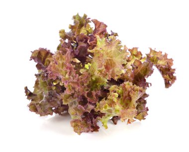 Beyaz zemin üzerine kırmızı taze marul