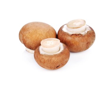 Şampiyon mantarları beyazda izole edilmiş.