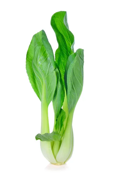 Bok Choy Chinese Kool Geïsoleerd Wit — Stockfoto