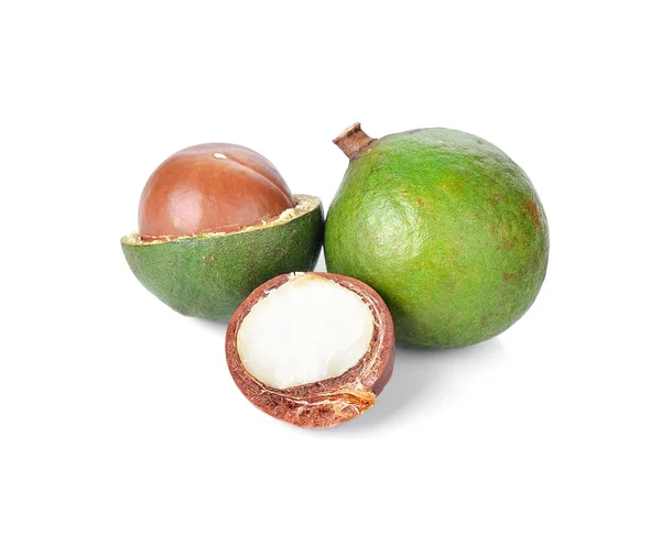 Καρύδια Macadamia Λευκό Φόντο — Φωτογραφία Αρχείου