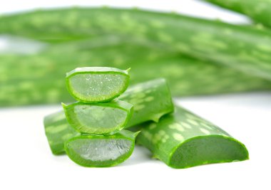 aloe vera taze yaprak beyaz izole