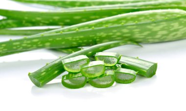 aloe vera taze yaprak beyaz arka plan üzerinde izole