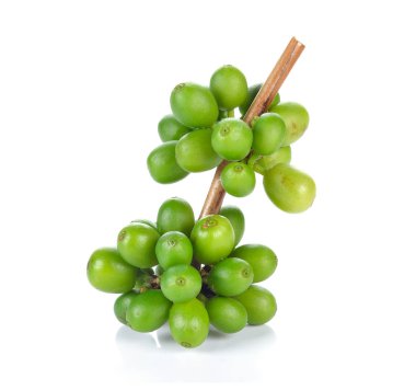 Yeşil kahve çekirdekleri üzerine beyaz izole