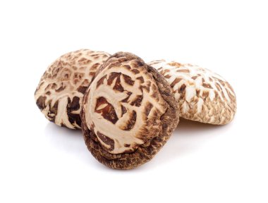 Kuru Shiitake mantar beyaz izole