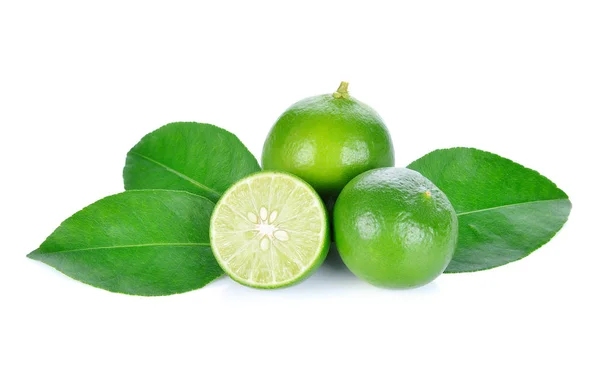 Lime Isolated White Background — Stock Photo, Image