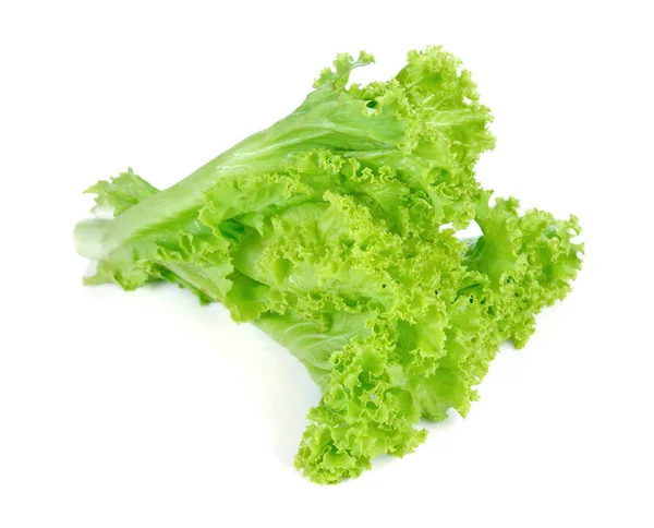 Fresh Green Lettuce Isolated White Background — Stock Photo, Image