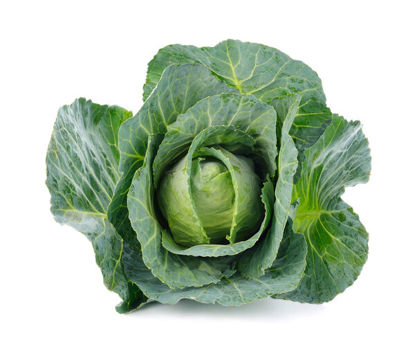 Green cabbage isolated on white background