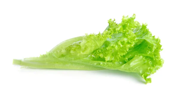 Frischer Grüner Salat Isoliert Auf Einem Weißen — Stockfoto