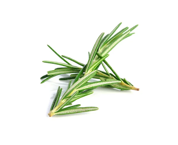 Rosemary Isolated White Background — Stock Photo, Image