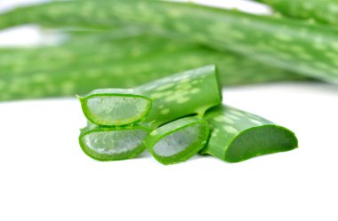 aloe vera yaprağı ve beyaz arka plan üzerinde izole dilimleri
